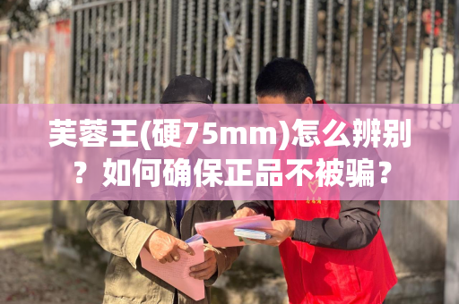 芙蓉王(硬75mm)怎么辨别？如何确保正品不被骗？